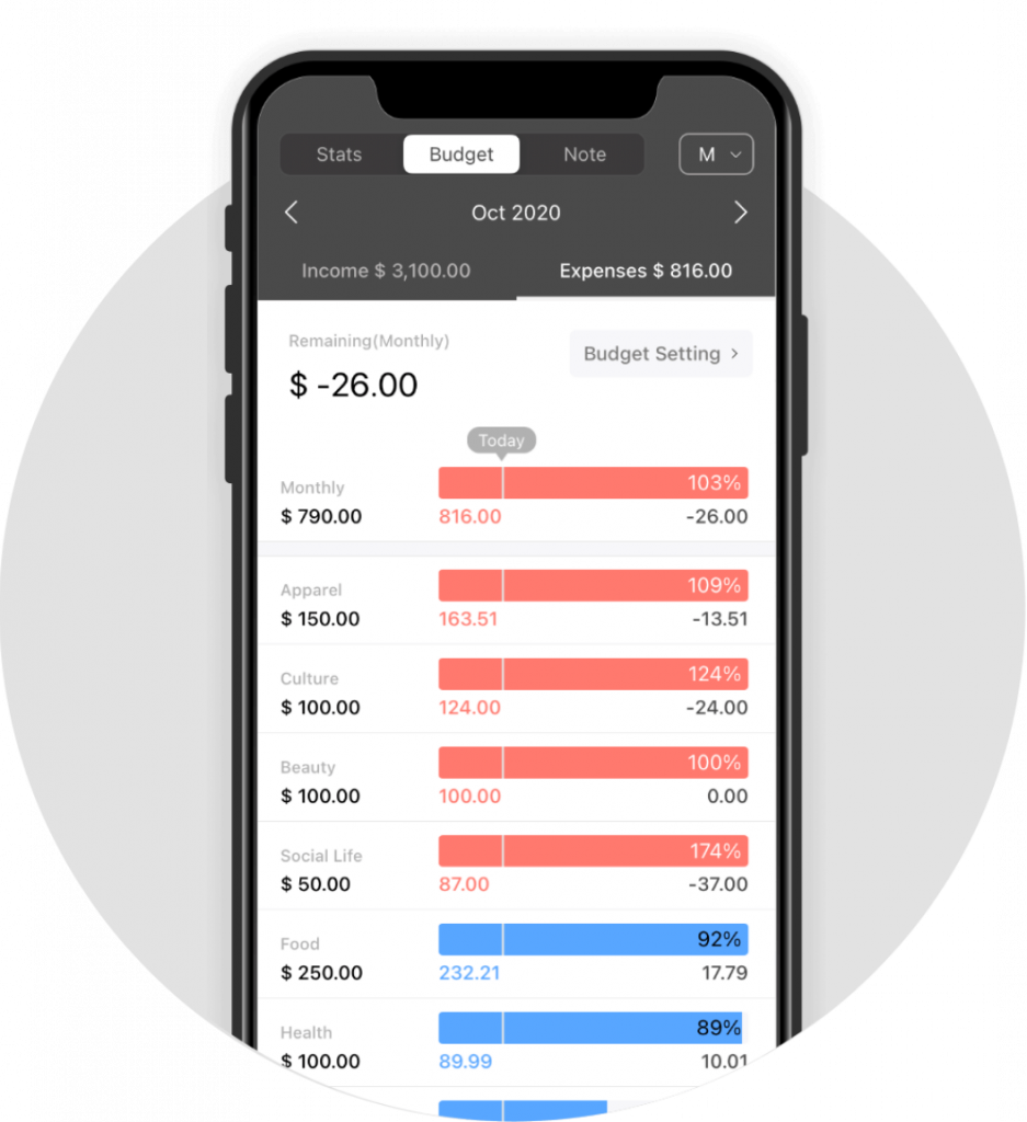 MONEY MANAGER EXPENSE & BUDGET